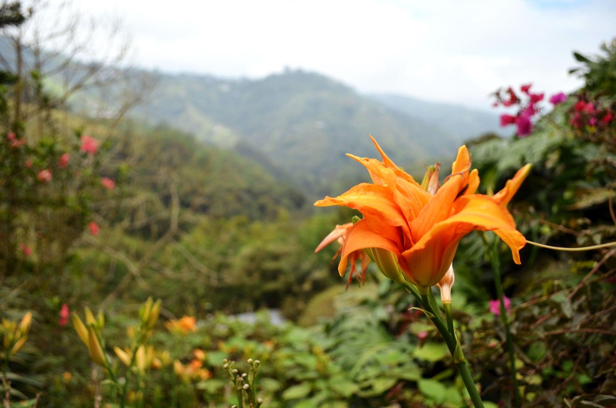Eco Lodge La Juanita La Linda Экстерьер фото
