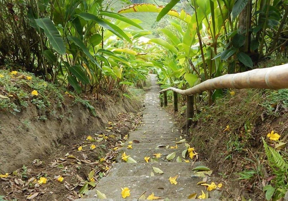 Eco Lodge La Juanita La Linda Экстерьер фото