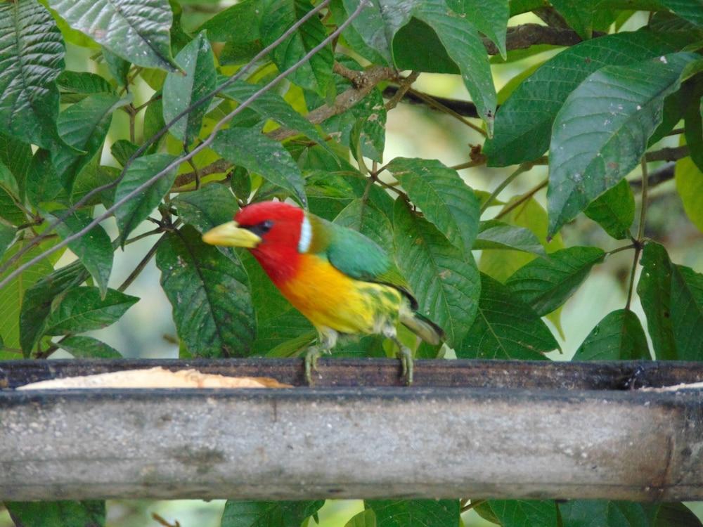 Eco Lodge La Juanita La Linda Экстерьер фото