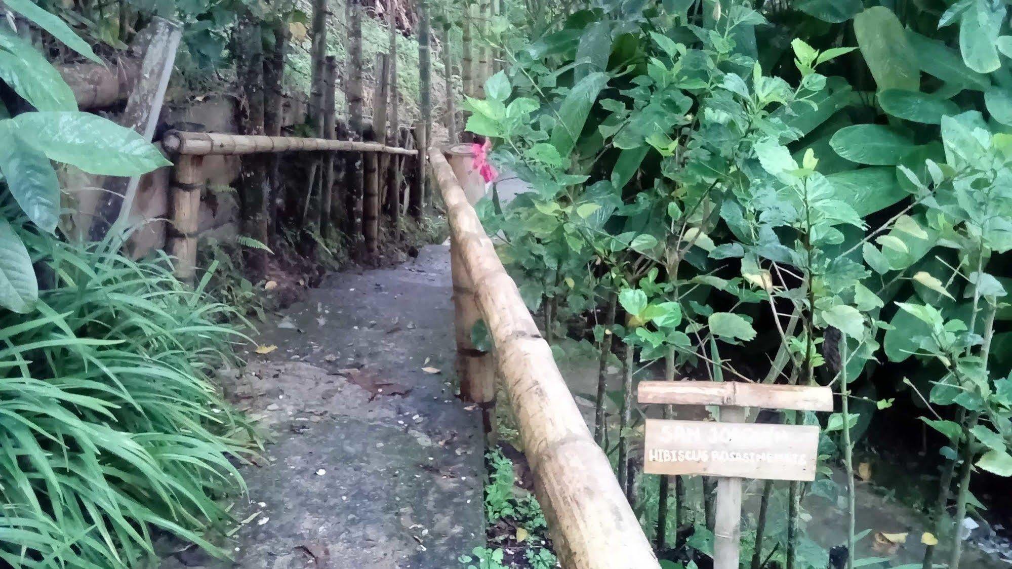 Eco Lodge La Juanita La Linda Экстерьер фото